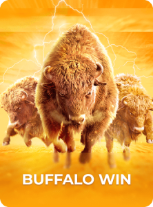 Buffalo Win插图4