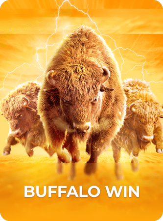 Buffalo Win